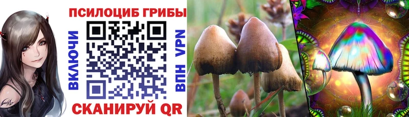 Галлюциногенные грибы Psilocybine cubensis дарнет шоп Видное